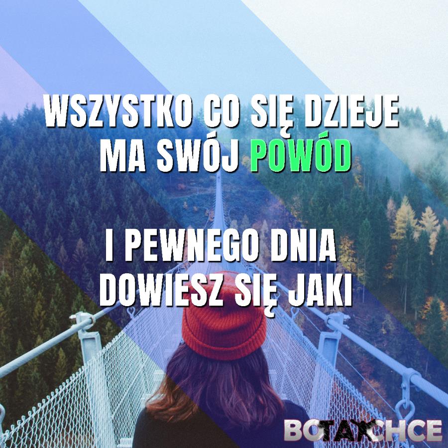 wszystko ma swój powód